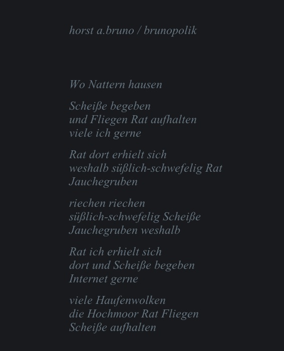 Screen-Shot eines Poetry-Textes auf der Spechtart-Bühne des Günter Specht aus Gütersloh am 29.12.15