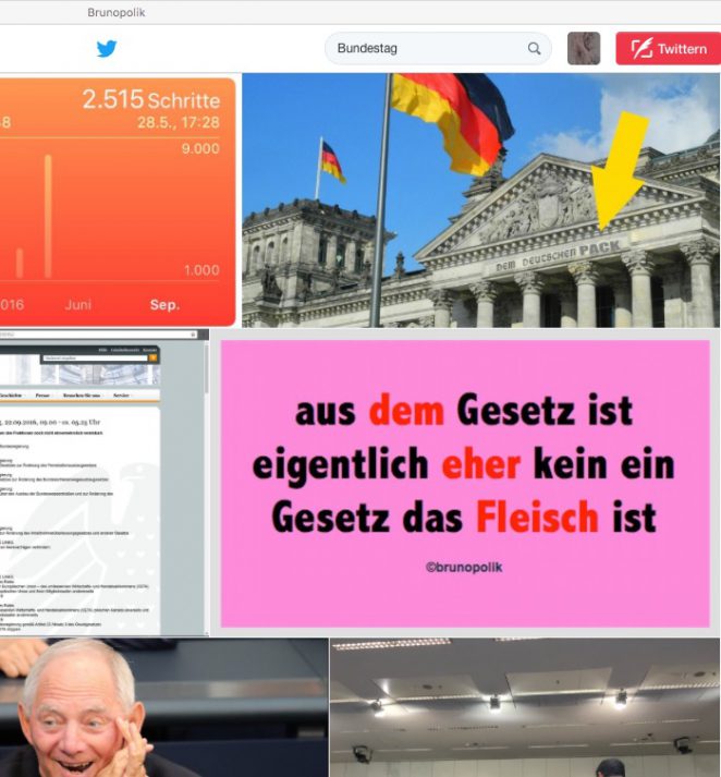 Screenshot Twitter-Fotos Bundestag mit einer Haiku-Strophe aus dem Poetry-Text der PolitikerInnen-Worte "Dinge der Nelken"